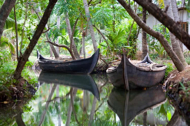 Omgeving Alleppey, backwaters, Kerala, India